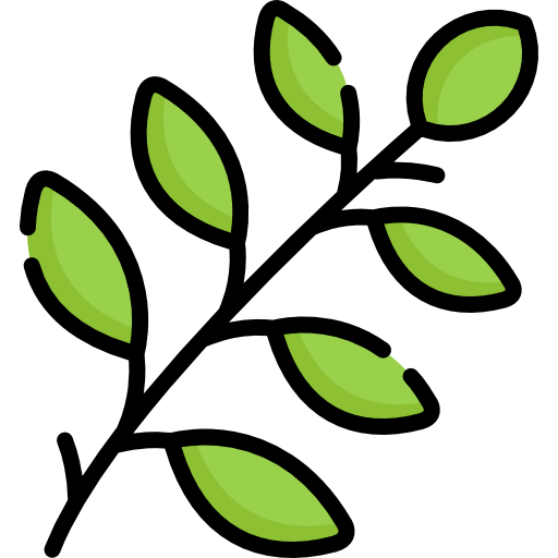 Branch icon