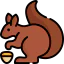 Squirrel 图标 64x64