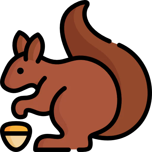 Squirrel icon