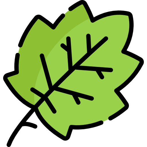 Leaf icon