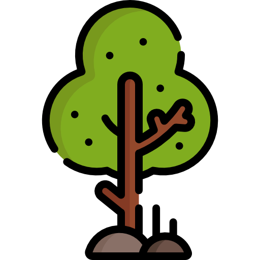 Tree icon