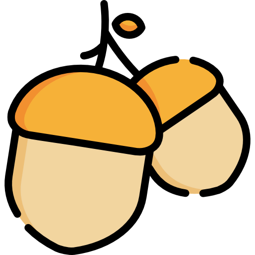 Acorn biểu tượng