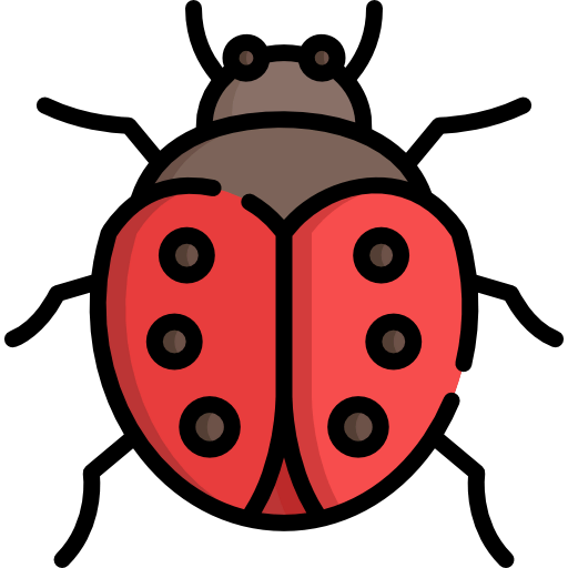 Ladybug icon