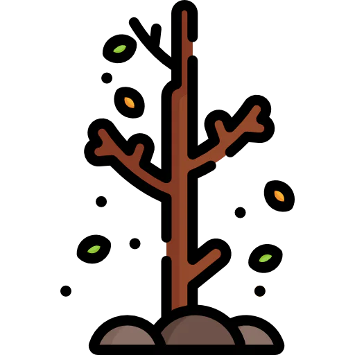Tree 상