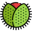 Chestnut アイコン 64x64