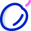 Plum ícono 64x64