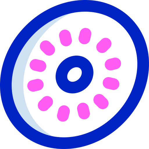 Kiwi icon