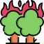 Wildfire 图标 64x64