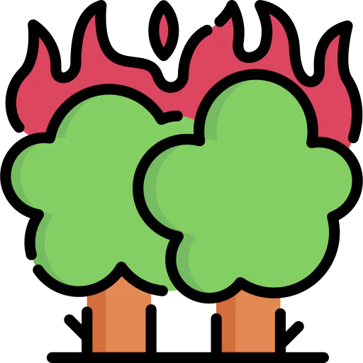 Wildfire 图标