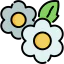 Flowers 图标 64x64