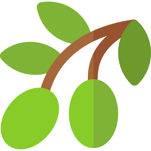 Olive icon
