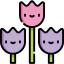 Tulips 图标 64x64