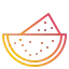 Watermelon icon 64x64