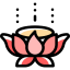 Lotus flower icon 64x64