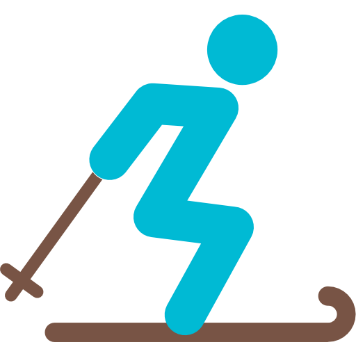 Skii icon