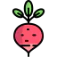 Radish アイコン 64x64