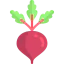 Beet icon 64x64