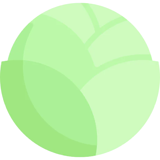 Cabbage icon