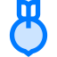 Beetroot icon 64x64