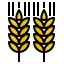 Wheat biểu tượng 64x64