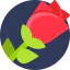 Rose icon 64x64