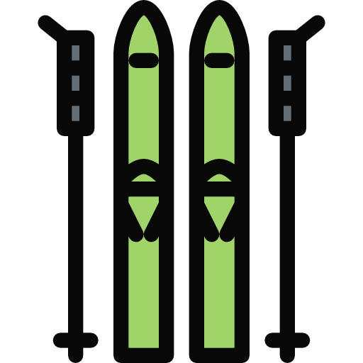 Ski icon