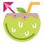 Coconut icon 64x64