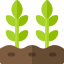 Plants icon 64x64