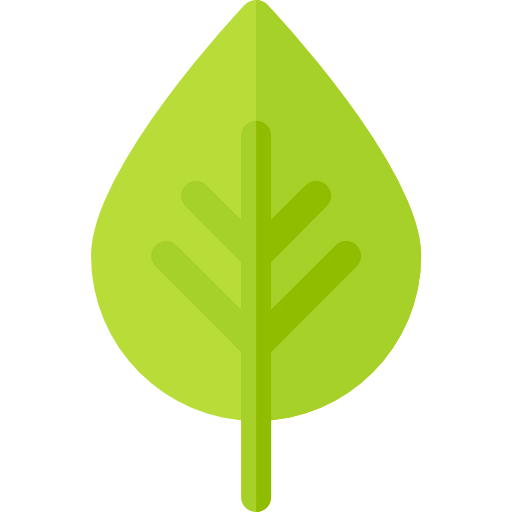 Leaf icon