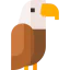 Eagle 图标 64x64