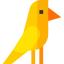 Canary 图标 64x64