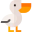 Pelican 图标 64x64