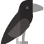 Crow 图标 64x64