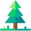 Pine Ikona 64x64