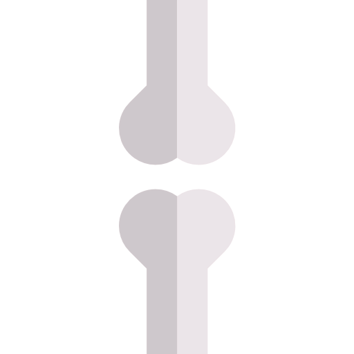 Bones icon
