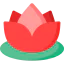 Lotus icon 64x64