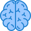 Brain icon 64x64