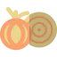 Onion icon 64x64