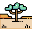 Savannah icon 64x64