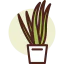 Aloe vera 图标 64x64