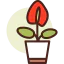 Anthurium 图标 64x64