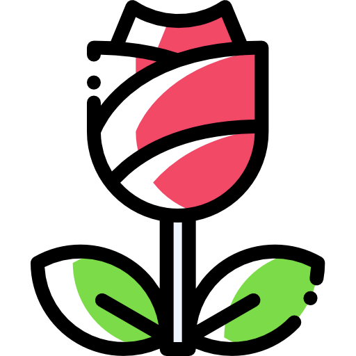 Macro icon