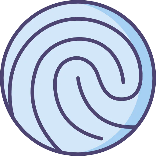 Fingerprint icon
