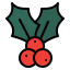 Holly icon 64x64