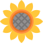 Sunflower icon 64x64