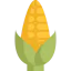 Corn icon 64x64