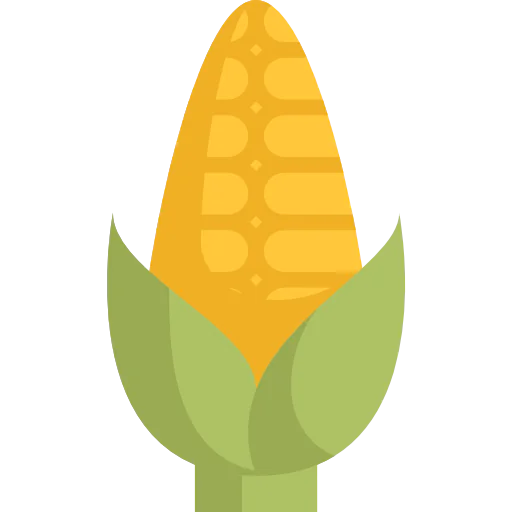 Corn icon