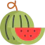 Watermelon icon 64x64