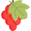 Grape icon 64x64