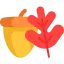 Acorn icon 64x64